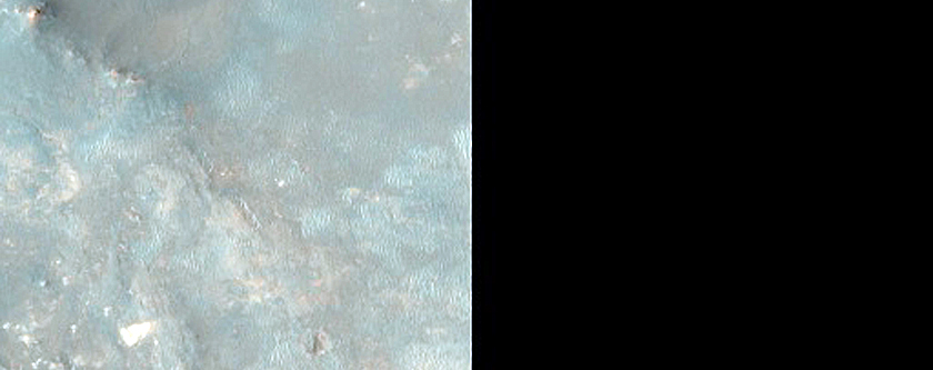 Phyllosilicate-Bearing Ejecta of Toro Crater