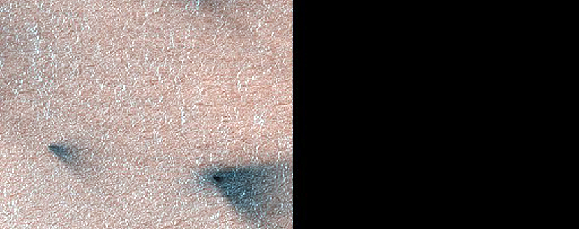 Seasonal Activity on Polygonal Terrain