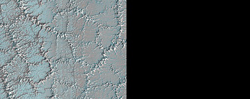 Bright and Dark Fans on Patterned Ground Dubbed Troy