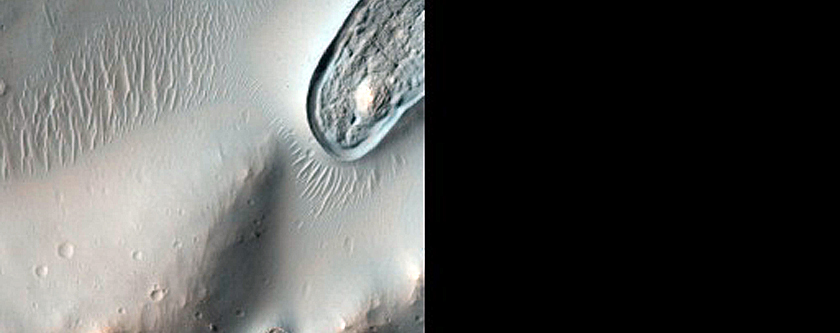 Fresh-Looking Ruptures on Crater Floor in Noachis Terra