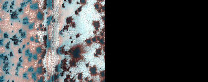 Region Dubbed Starfish