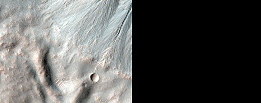 Volatiles and Gullies
