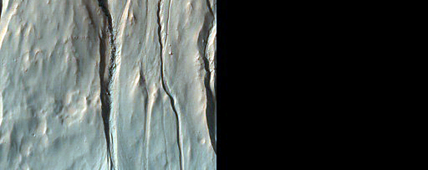 Gully Monitoring