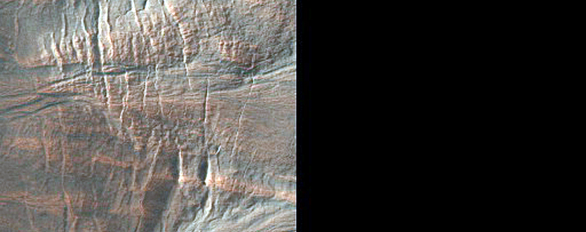 Gully Cluster