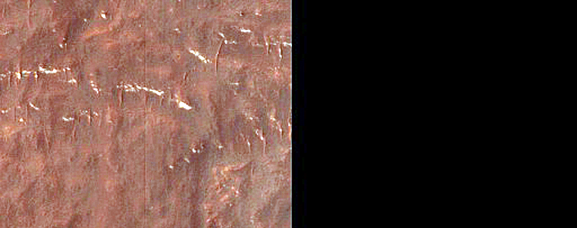 Terrain Sample