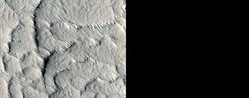 Exposed Ridge Networks near Ulysses Fossae