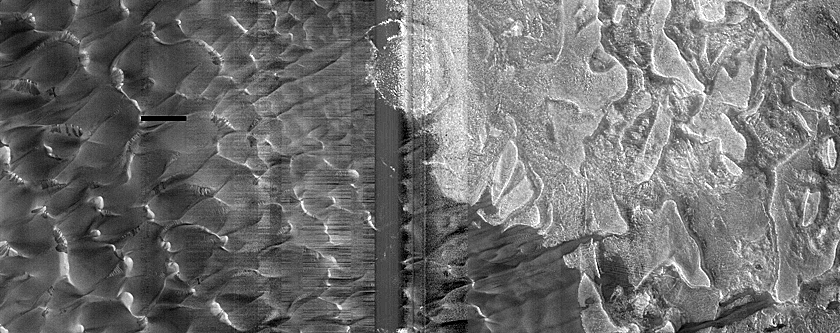 Dunes Dubbed Buzzel