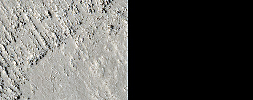 Athabasca Valles Distributary