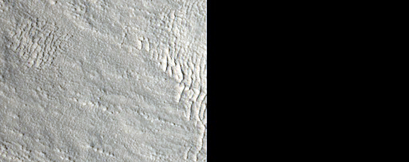 Monitor Gullies on Northern Hemisphere Crater Wall