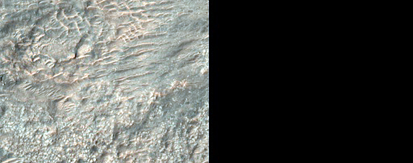 Possible Olivine-Bearing Crater Floor in Tyrrhena Terra