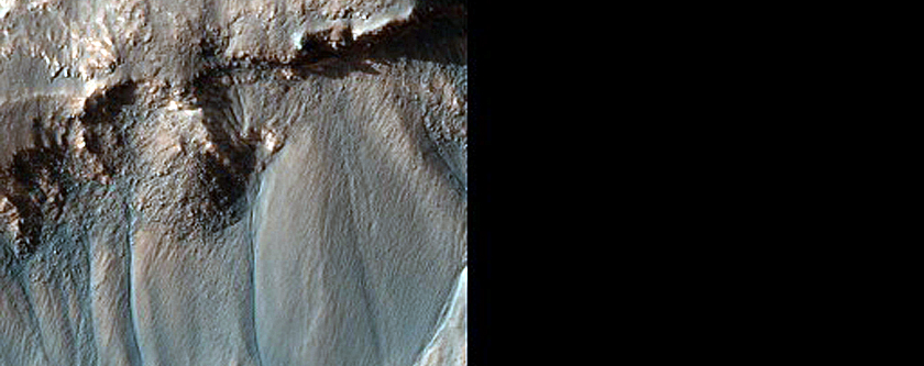Gully Monitoring