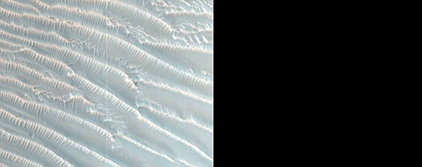 Phyllosilicates in Tyrrhena Terra Crater Rim
