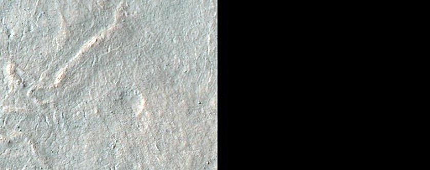 Multiple Dust-Rich Flows