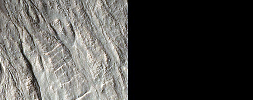 Gully Monitoring