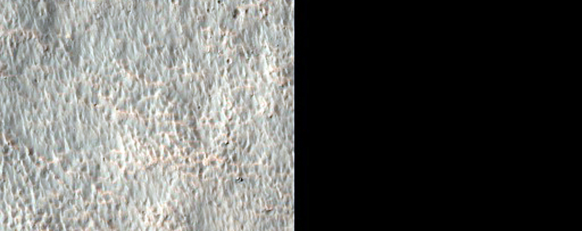 Possible Olivine-Bearing Materials Southwest of Newton Crater