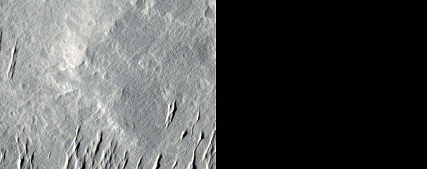 Fine-Scale Fluting