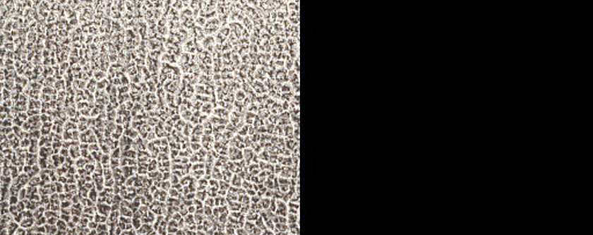 Oval Dune Field in Crater