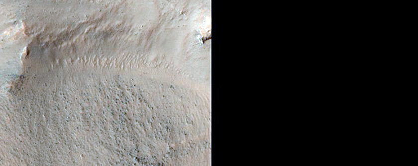 Gullies along Trough near Mariner Crater