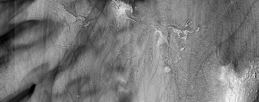 Dunes in Western Hellas Planitia