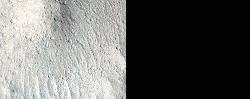 Elysium Planitia Flow Margins
