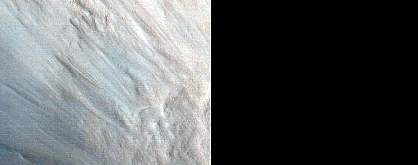 Terrain Sample