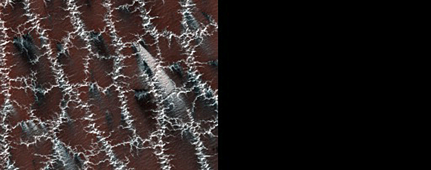 Bright and Dark Fans on Patterned Ground Dubbed Troy