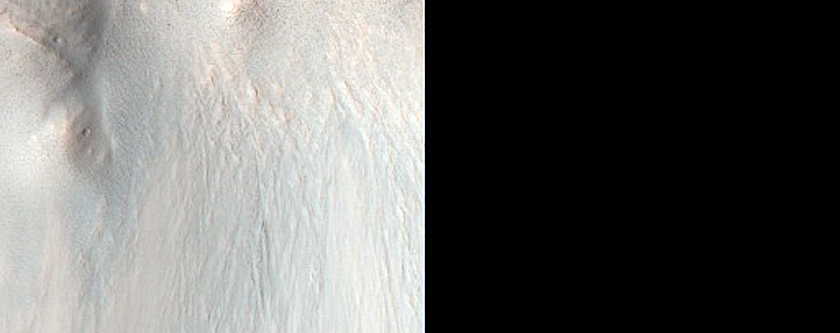 Slope Where New Boulder Tracks Formed
