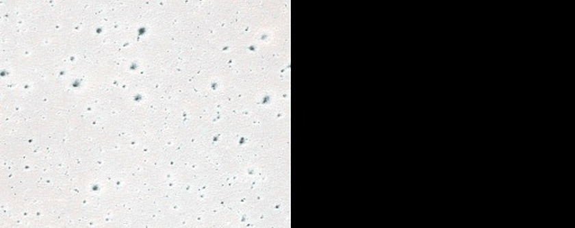 USGS Dune Database Entry Number 2698-696