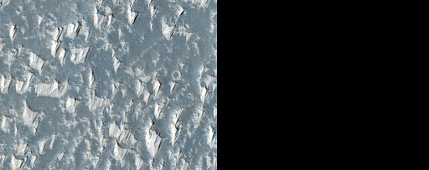 Daedalia Planum