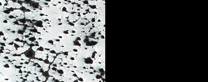 South Polar Region Cryptic Terrain Margin Monitoring in Reynolds Crater