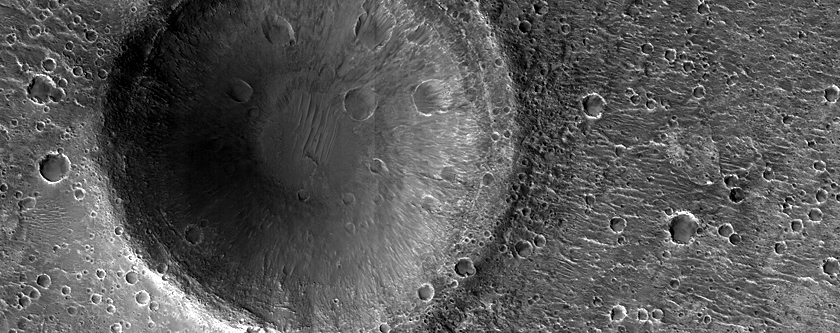 Exposed Crater Wall Units in Oxia Planum