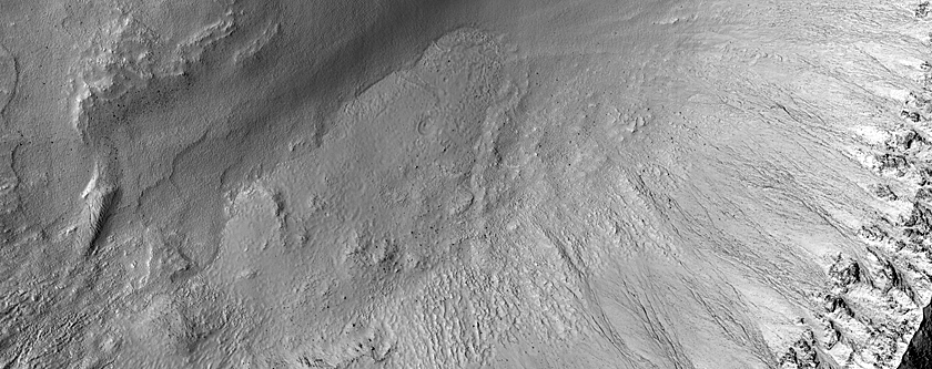 Gully Monitoring