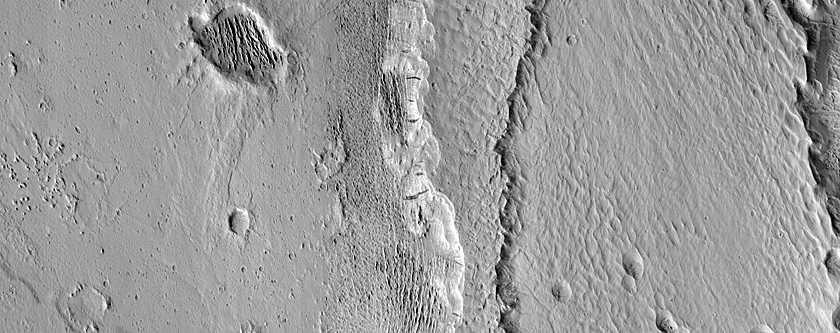 Channel Edge with Overbank Flow Deposits