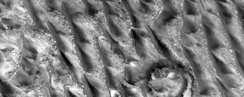 Seasonal Activity on Dunes