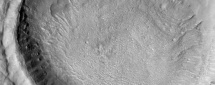 Large Alcoves with Possible Gullies