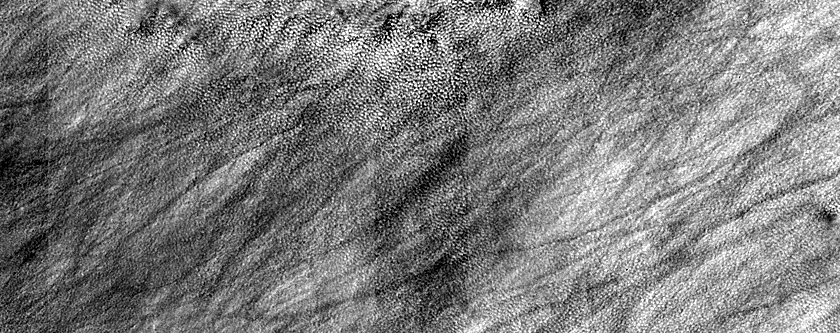 Gully Monitoring