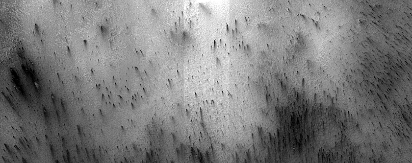 South Polar Region Cryptic Terrain Margin Monitoring near Reynolds Crater