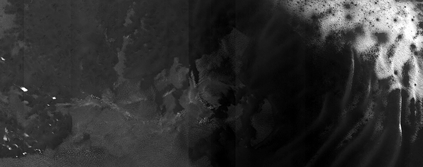Monitoring USGS Dune Database Entry Number 0107-650