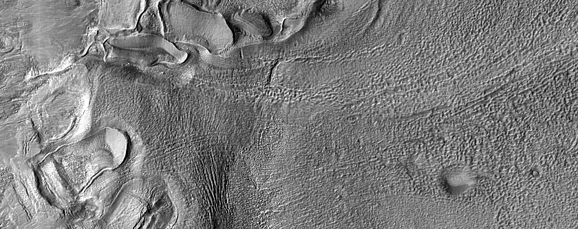 Gullies in Newton Crater