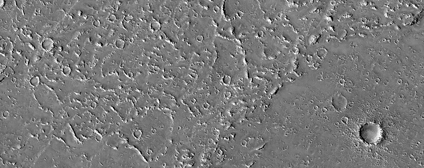 Terrain Sample