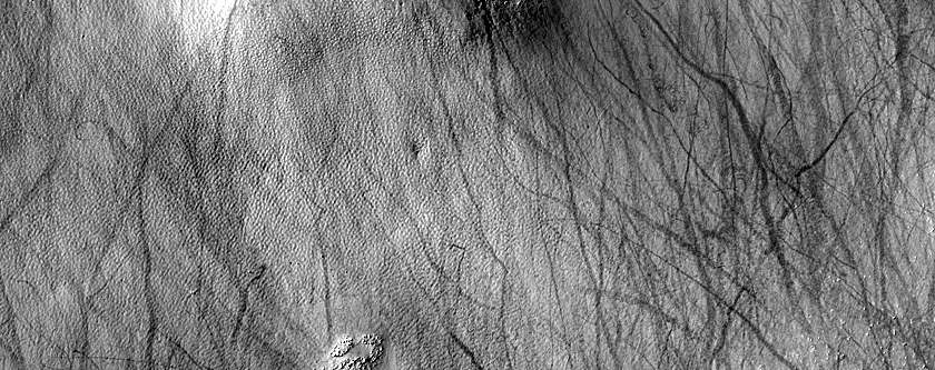 Terrain Sample