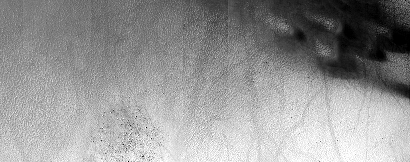 USGS Dune Database Entry Number 1563-579