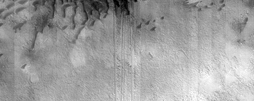 Dune Monitoring in Lyot Crater