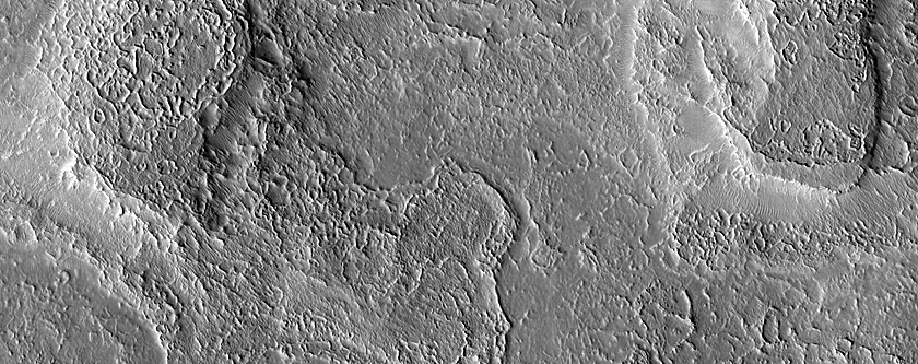 Ridges in Northern Mid-Latitudes