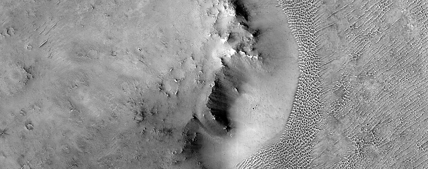 Terrain Sample