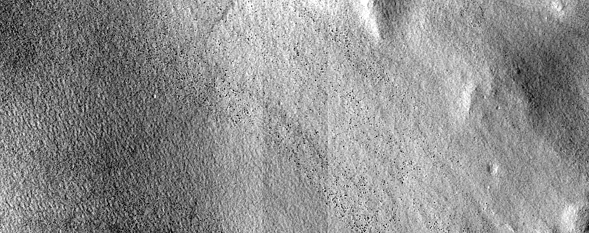 Multiple Dust-Rich Ice Flows