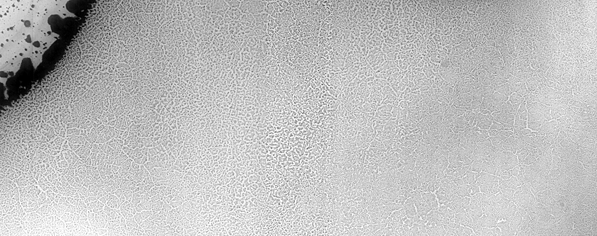 USGS Dune Database Entry Number 2803-713