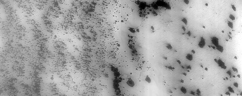 Cryptic Terrain Margin Monitoring in Reynolds Crater