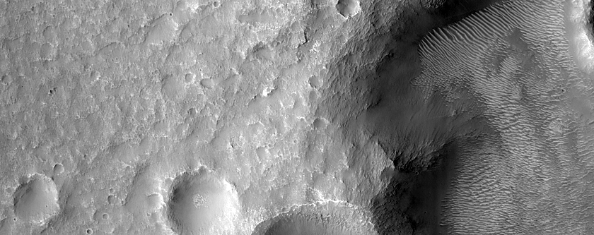 Terrain Sample