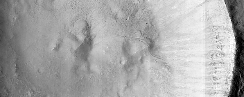 Gully Monitoring